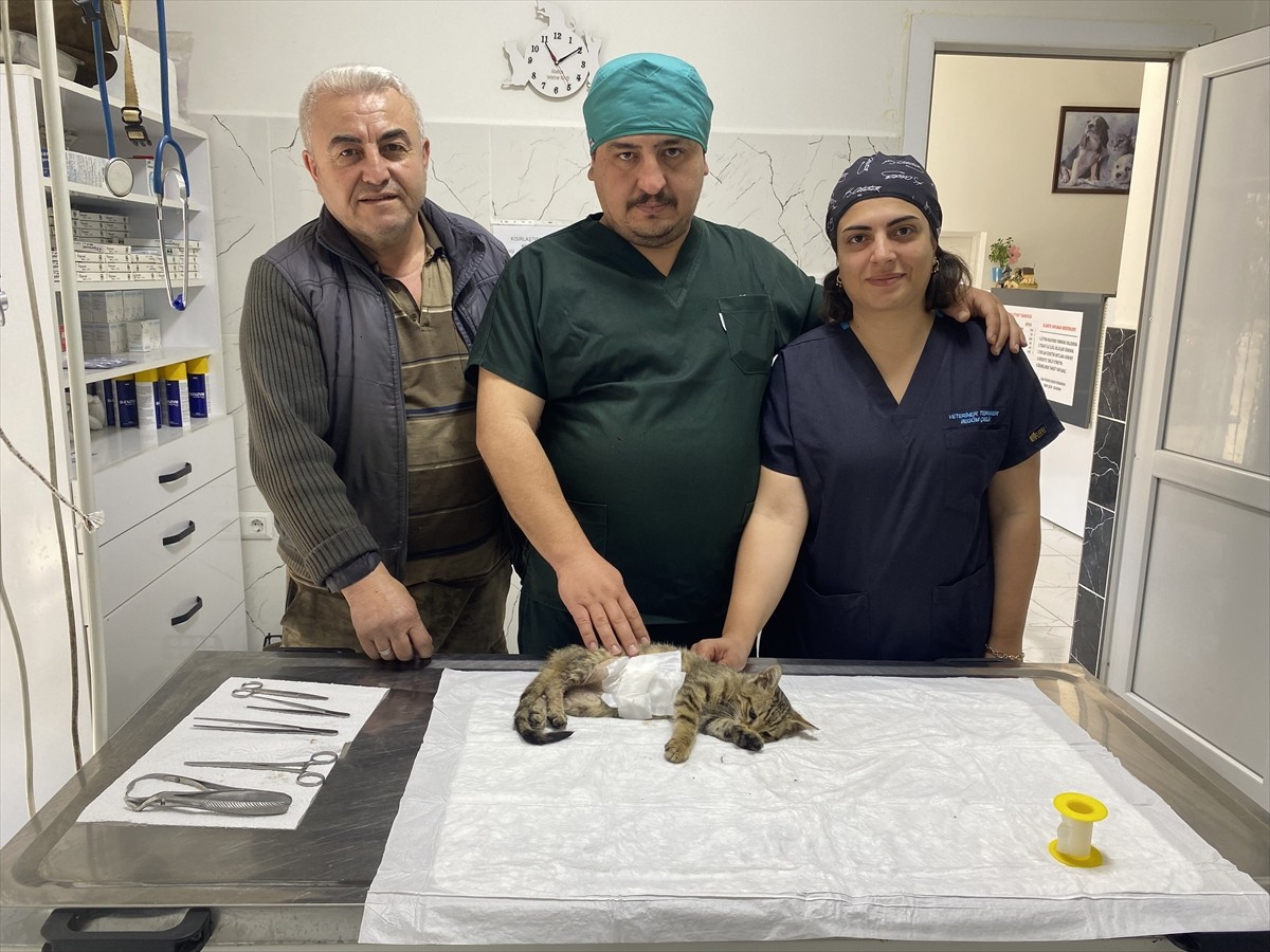 Manisa'nın Alaşehir ilçesinde yaşayan İbrahim Aydın, iş yerine giren yaralı kediyi tedavi ettirip...