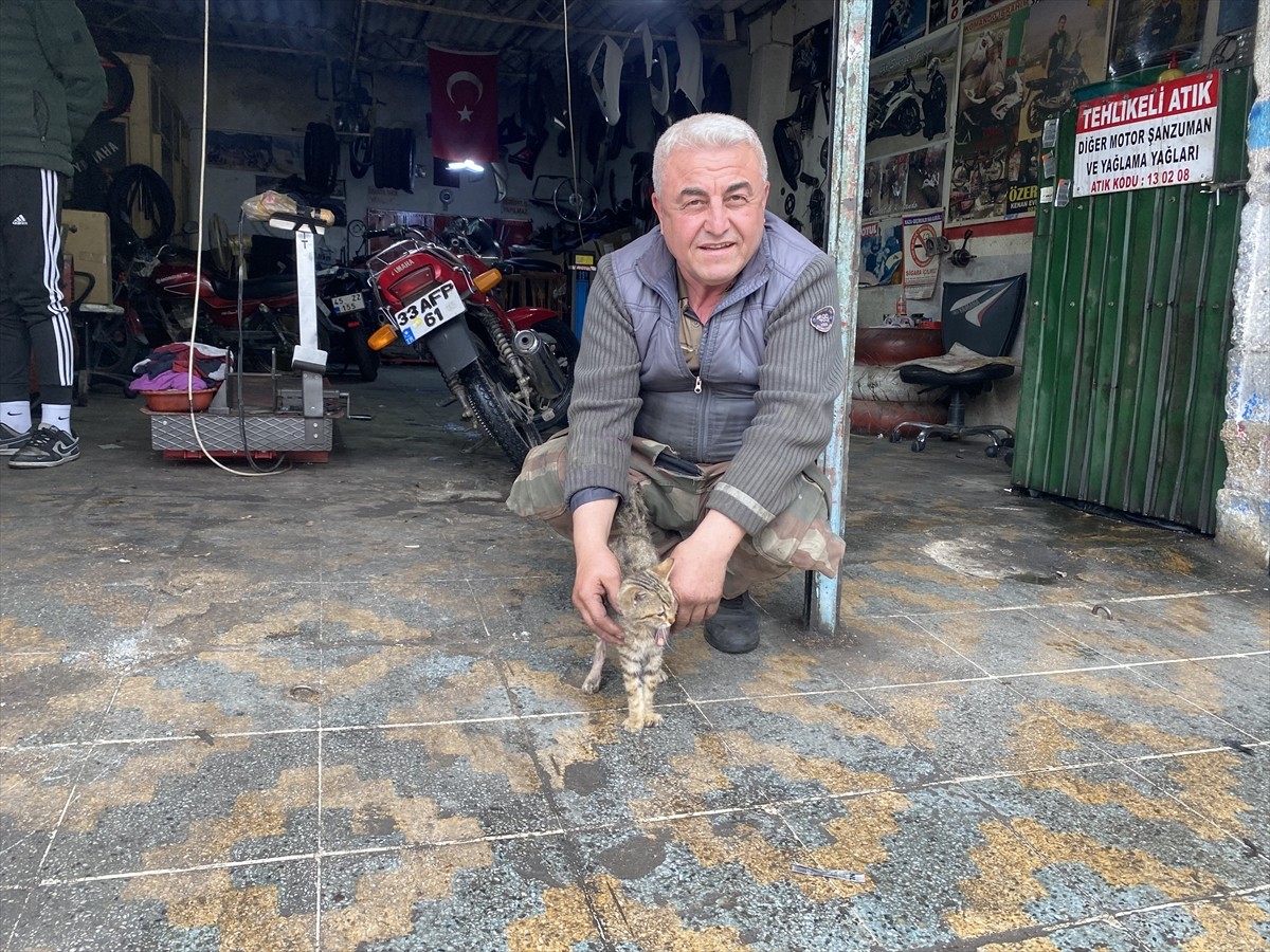 Manisa'nın Alaşehir ilçesinde yaşayan İbrahim Aydın, iş yerine giren yaralı kediyi tedavi ettirip...