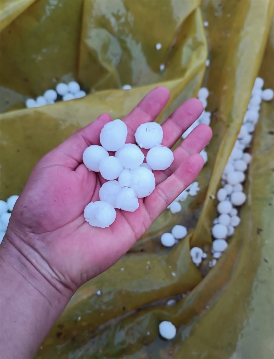 Mersin'in Erdemli ilçesinde etkili olan dolu, bazı tarım alanlarına zarar verdi.
