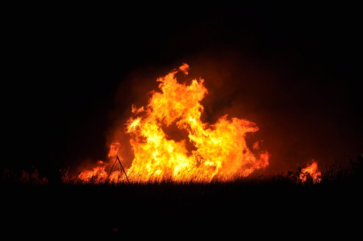 Mersin'in Silifke ilçesindeki Göksu Deltası'nda çıkan yangına müdahale ediliyor.