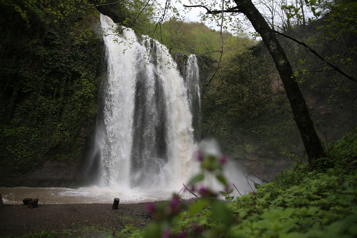 Ordu'da karların erimesiyle debisi artan Ohtamış Şelalesi, alternatif turizm arayanların rotasında...