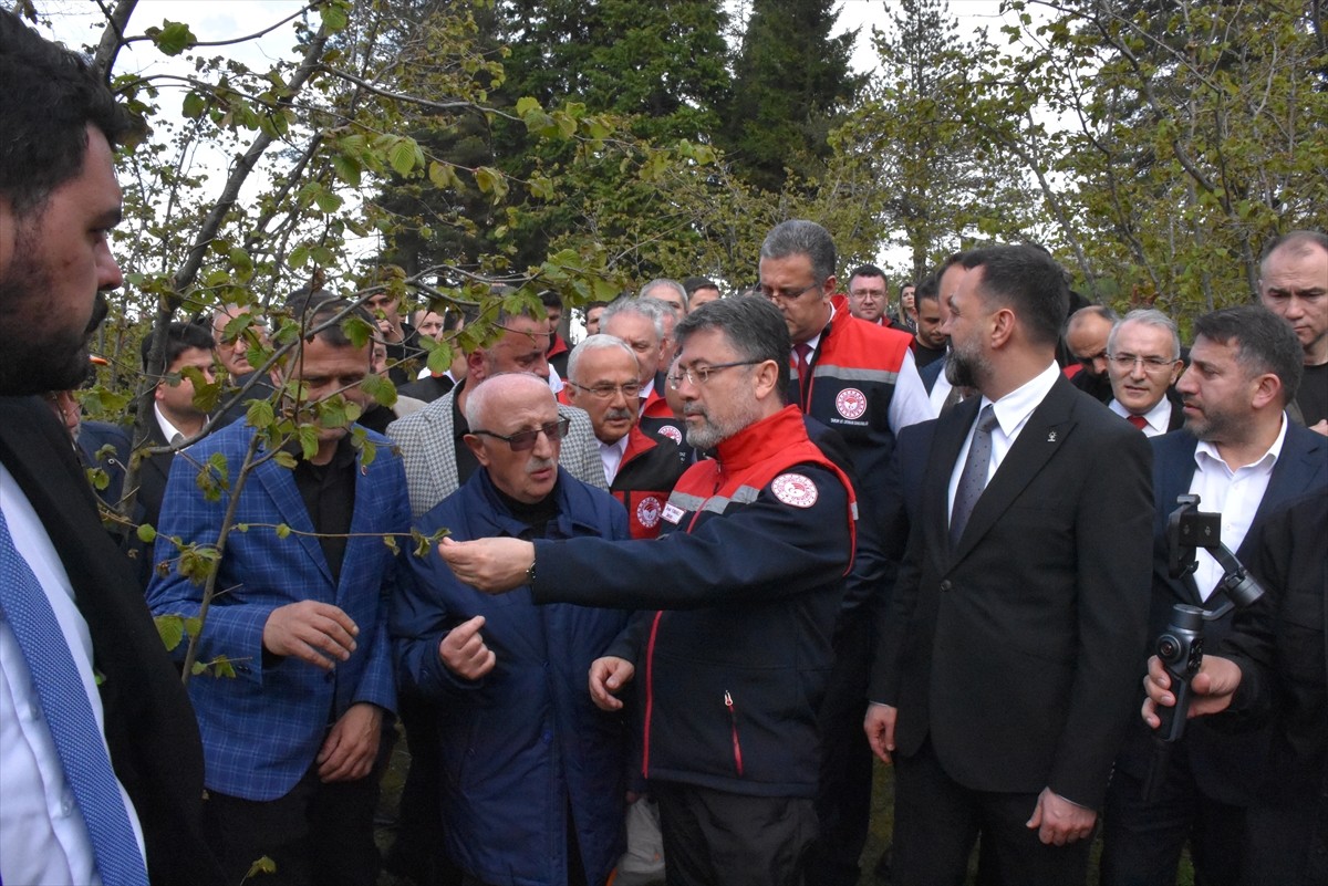 Tarım ve Orman Bakanı İbrahim Yumaklı, Ordu'nun Ulubey ilçesine bağlı Sayacabaşı mevkisinde zirai...