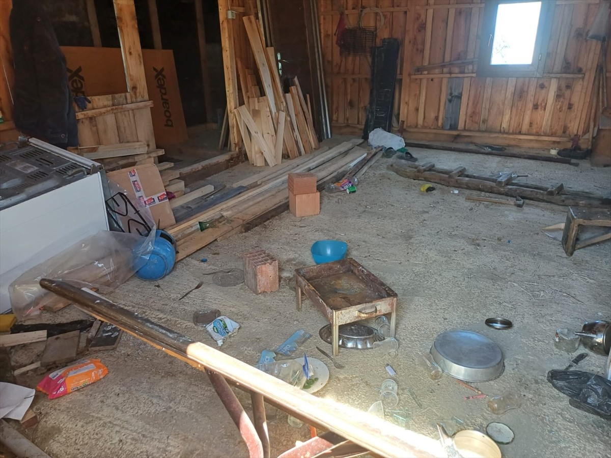 Trabzon'un Maçka ilçesinde yiyecek arayan ayılar, 7 yayla evine zarar verdi. İlçeye bağlı...