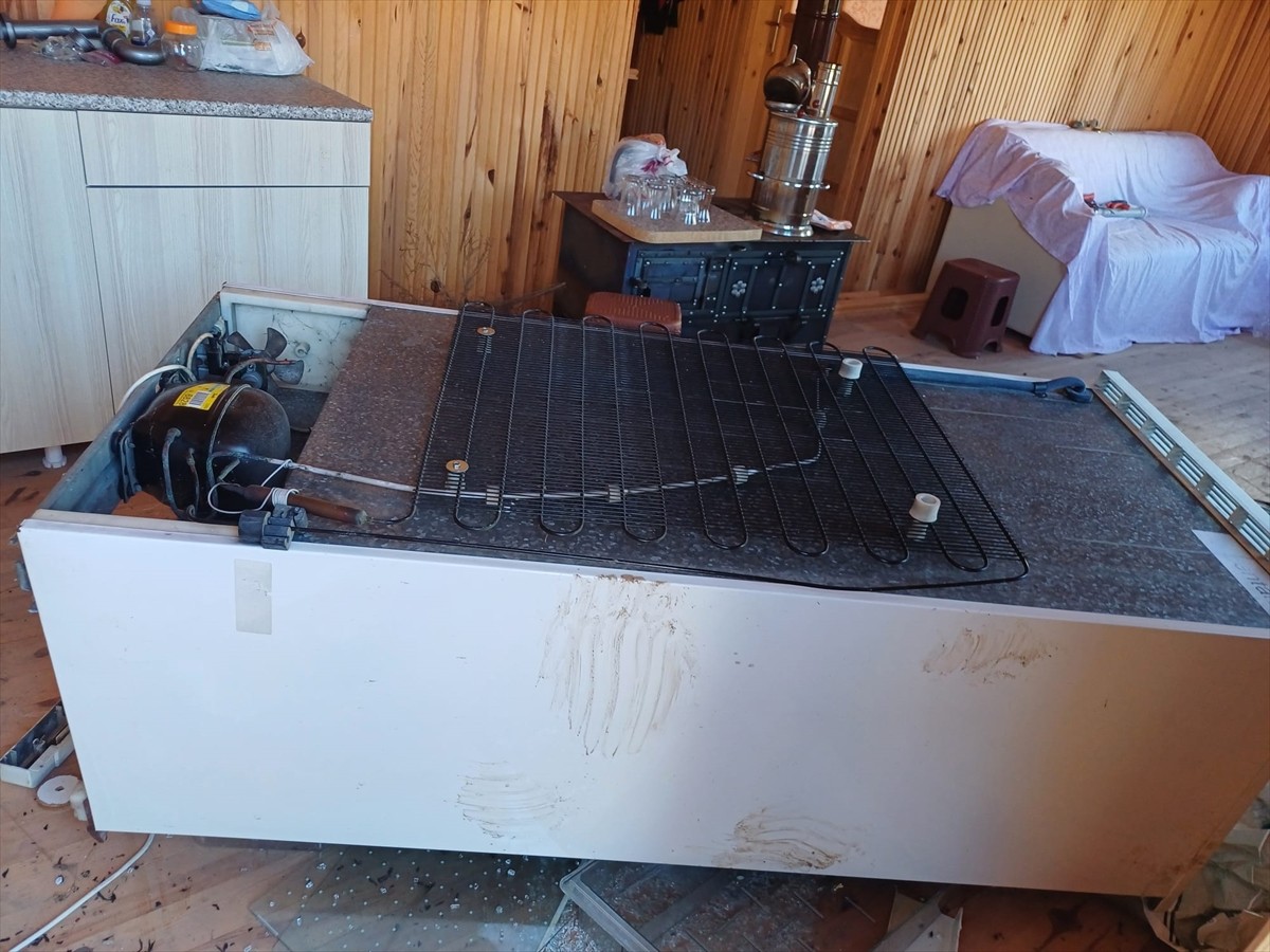 Trabzon'un Maçka ilçesinde yiyecek arayan ayılar, 7 yayla evine zarar verdi. İlçeye bağlı...