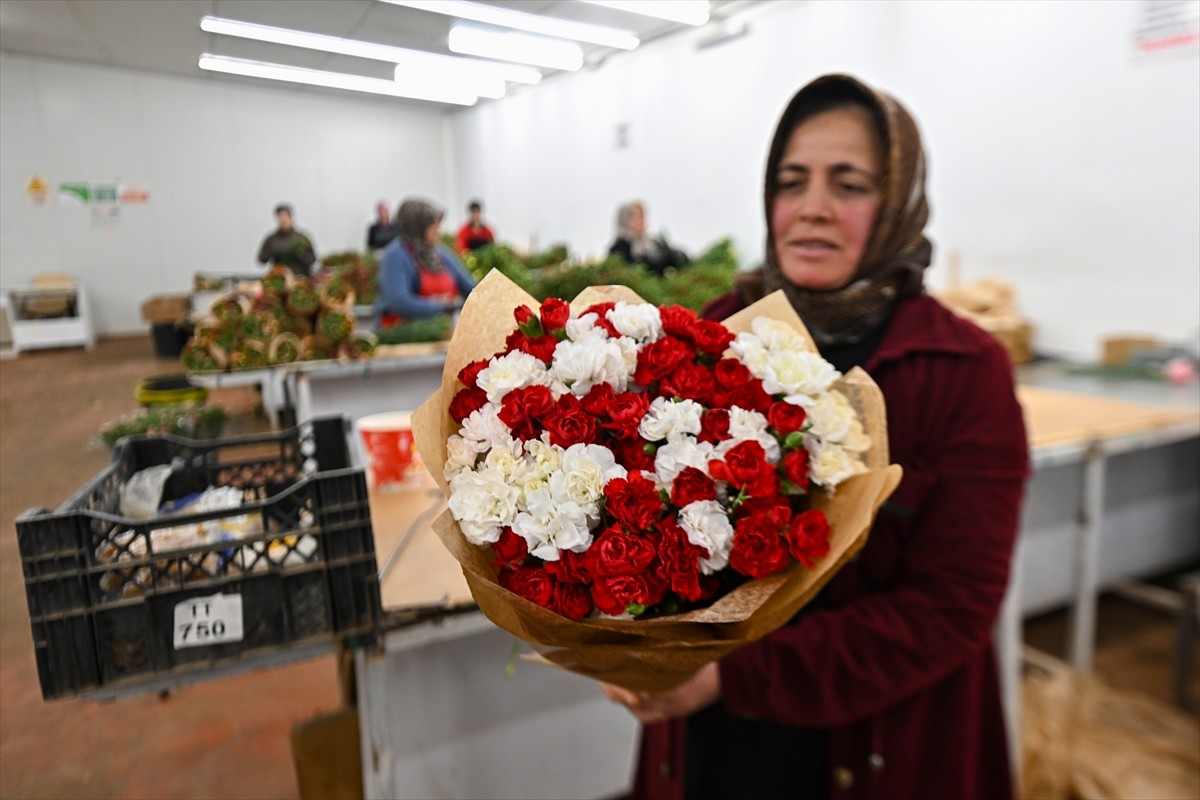 Türkiye'den 80 ülkeye yılın ilk çeyreğinde karanfil ağırlıklı olmak üzere 56,2 milyon dolarlık...