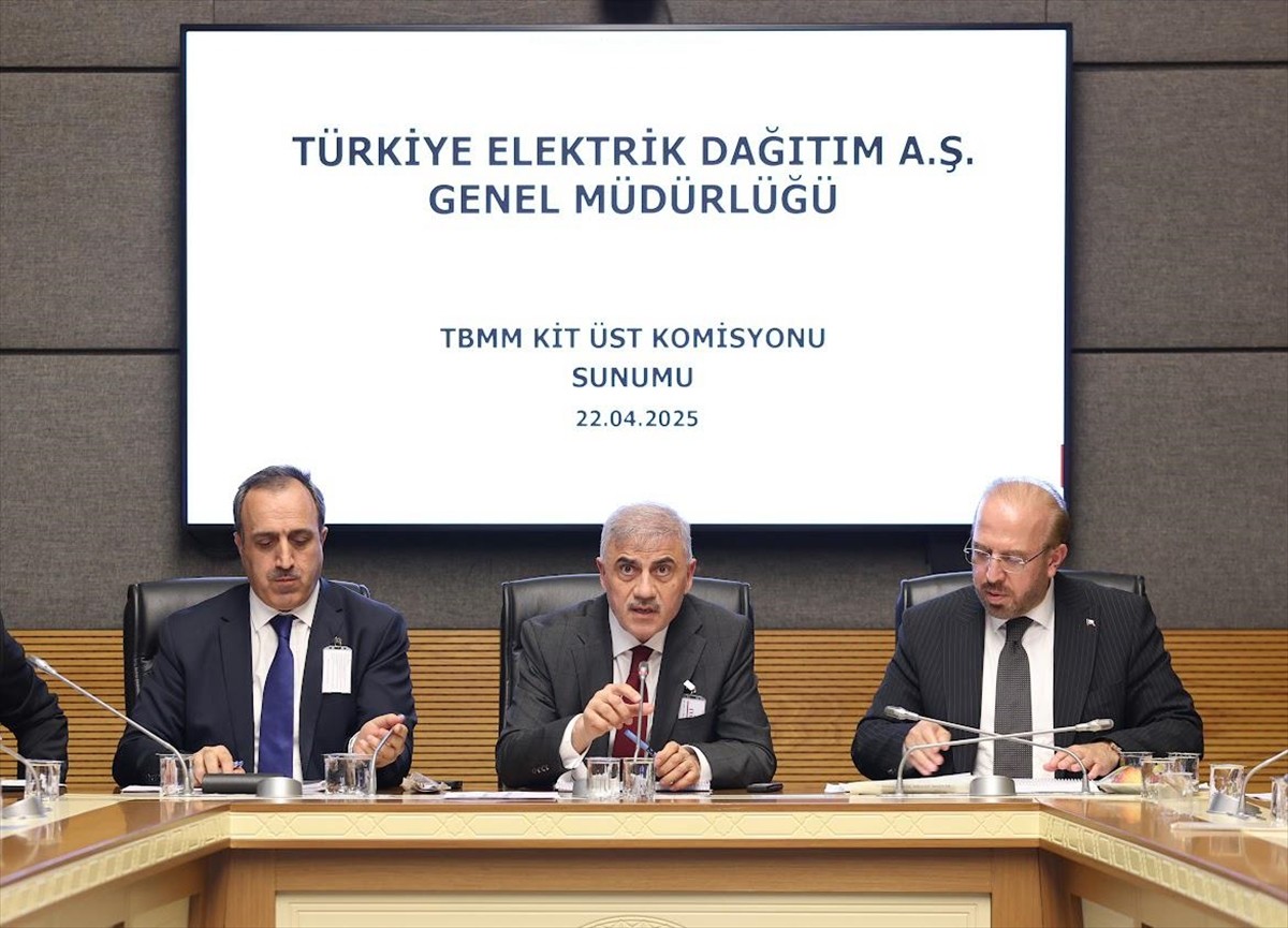 Türkiye Elektrik Dağıtım Anonim Şirketinin (TEDAŞ) 2021 ve 2022 yılı hesapları TBMM Kamu İktisadi...