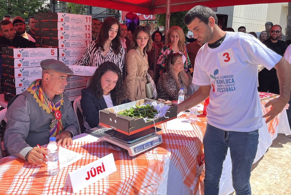 Antalya'nın Kumluca ilçesindeki 26. Tarım ve Seracılık Festivali kapsamında düzenlenen yarışmaya...