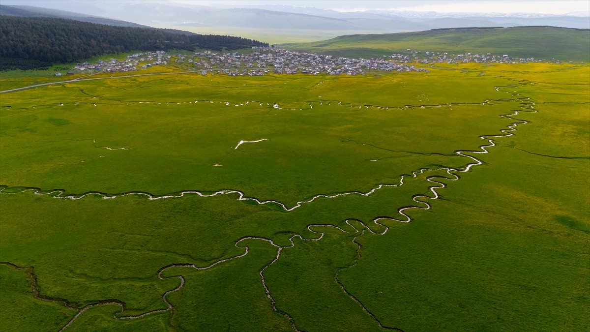 Ardahan'da derelerin kıvrılarak oluşturduğu menderesler, çevresini saran ilkbahar renkleriyle...