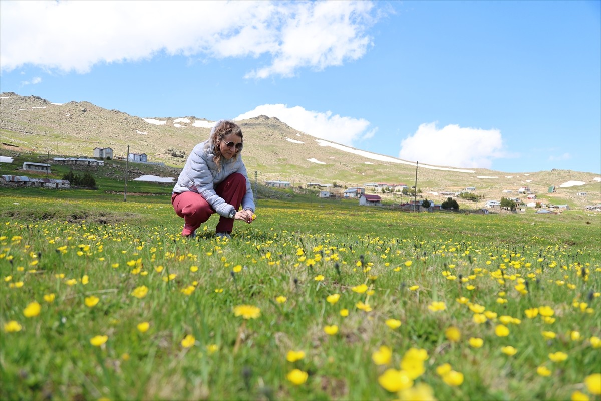 Bayburt Kültür ve Turizm Müdürlüğünün yürüttüğü ve Türkiye Ulusal Ajansı tarafından kabul edilen...