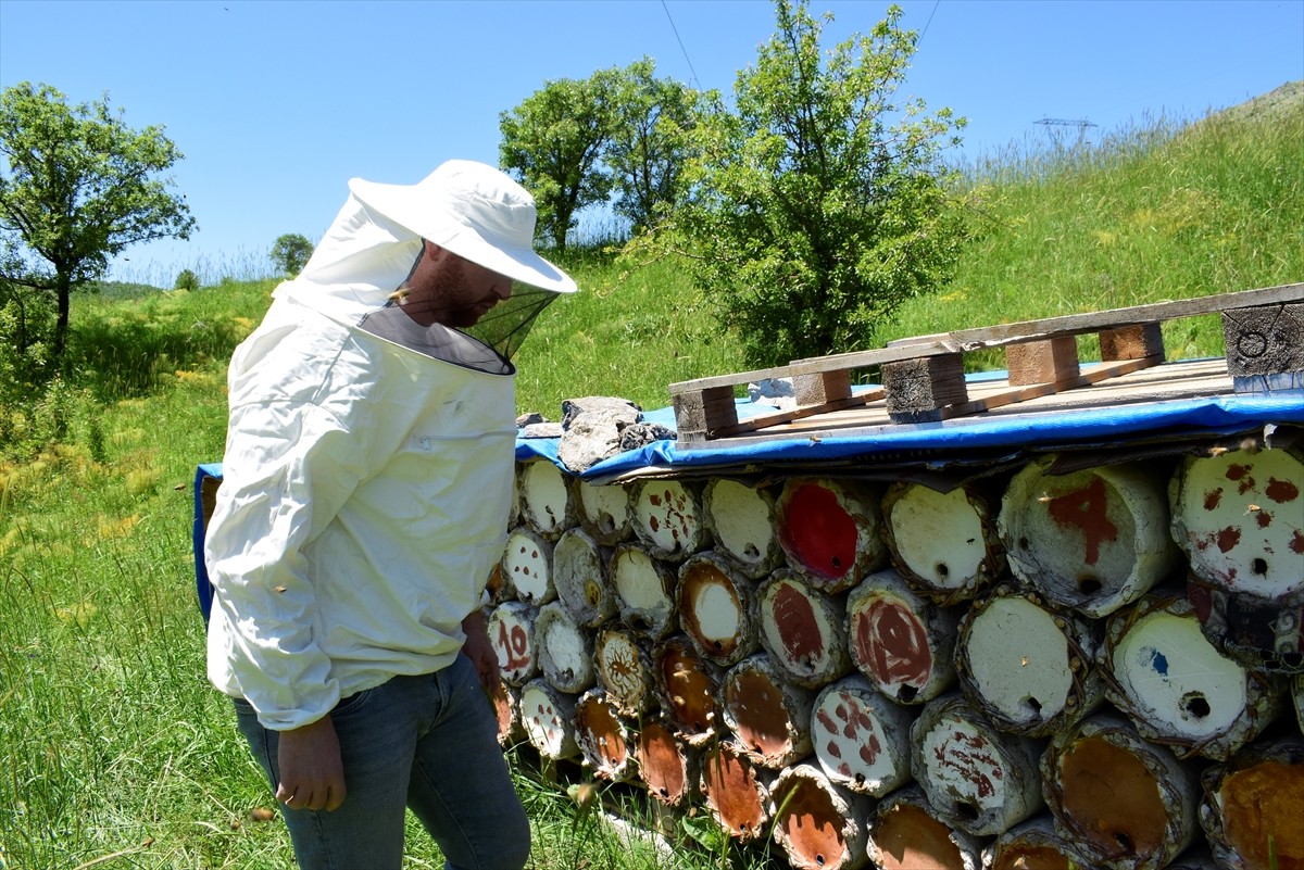 Bitlis'te üretilen bal, Fransa'nın başkenti Paris'te düzenlenen Uluslararası Bal Yarışması'nda iki...