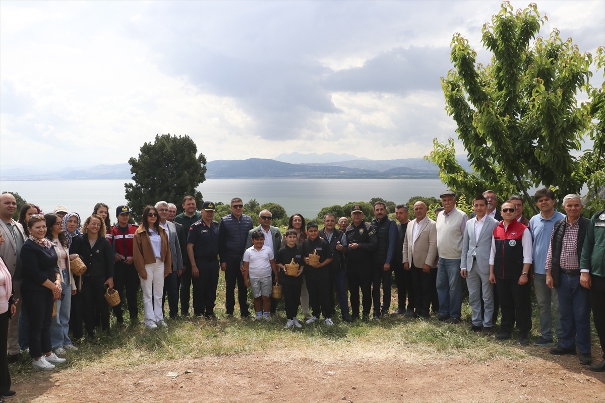 Burdur'da düzenlenen Doğa Festivali (DoğaFest) etkinlikleri kapsamında, gül hasadı, yapıldı....