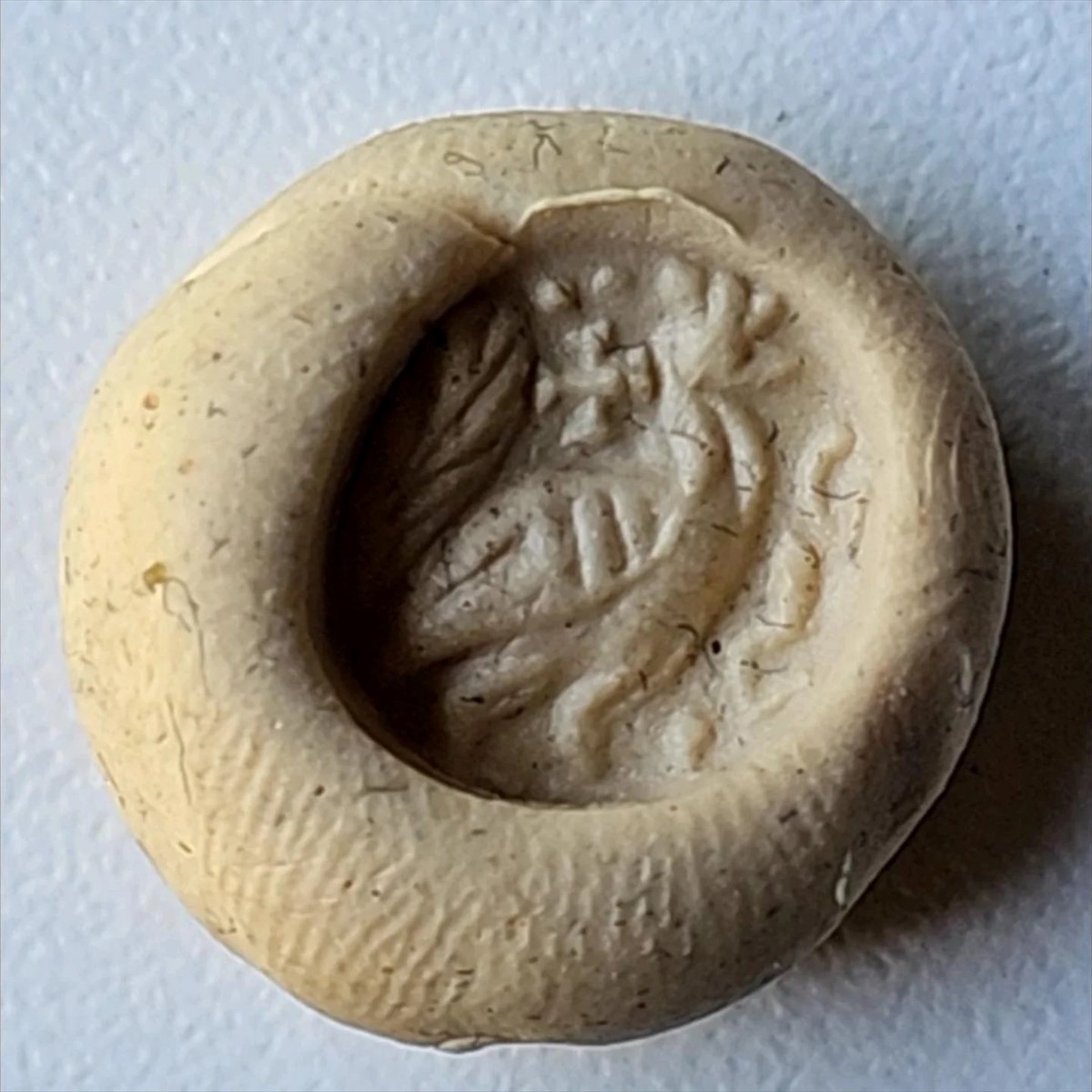 Çanakkale'nin Ayvacık ilçesine bağlı Demirci köyünde yaşayan Aden Dayangaç (sağda) ve ağabeyi...