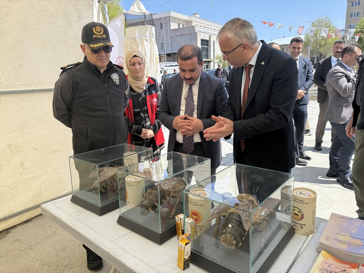 Dil uzunluğu ve soğuğa dayanıklılığı açısından Türkiye'de tek, dünyada ise en önemli 4 ırktan biri...