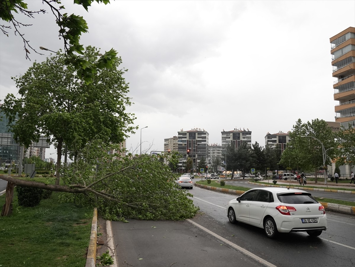 Diyarbakır'da etkili olan kuvvetli rüzgar ve fırtına nedeniyle bazı evlerin çatıları uçtu, ağaçlar...