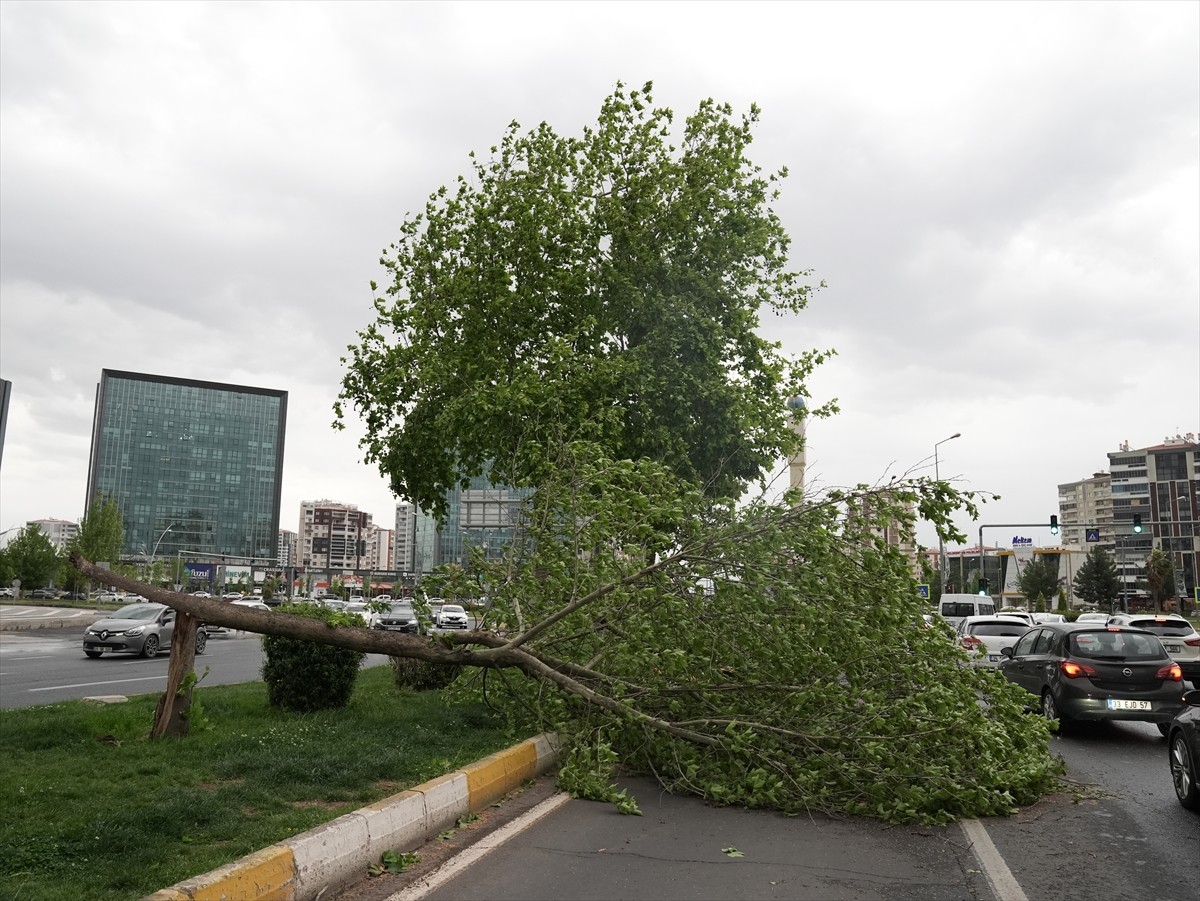 Diyarbakır'da etkili olan kuvvetli rüzgar ve fırtına nedeniyle bazı evlerin çatıları uçtu, ağaçlar...