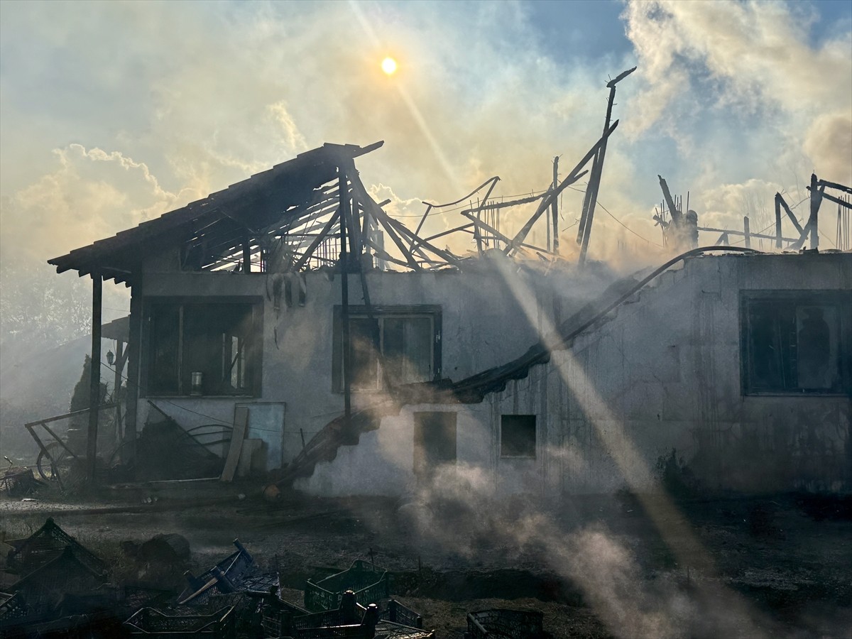 Düzce'de yangında ev, ahır ve kümes kullanılamaz hale geldi.
