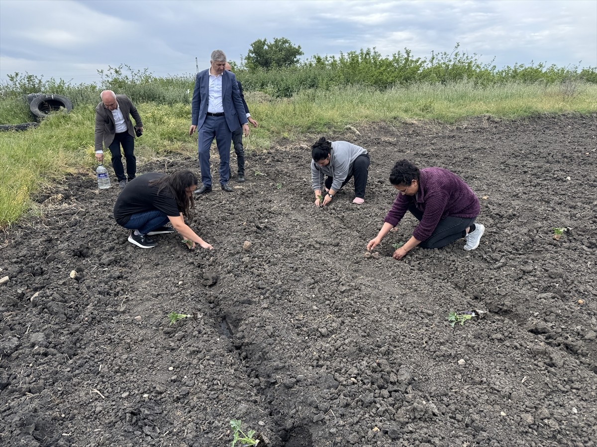  Edirne'de, Bitkisel Üretim Genel Müdürlüğünün "Tarım Arazilerinin Kullanımının Etkinleştirilmesi"...
