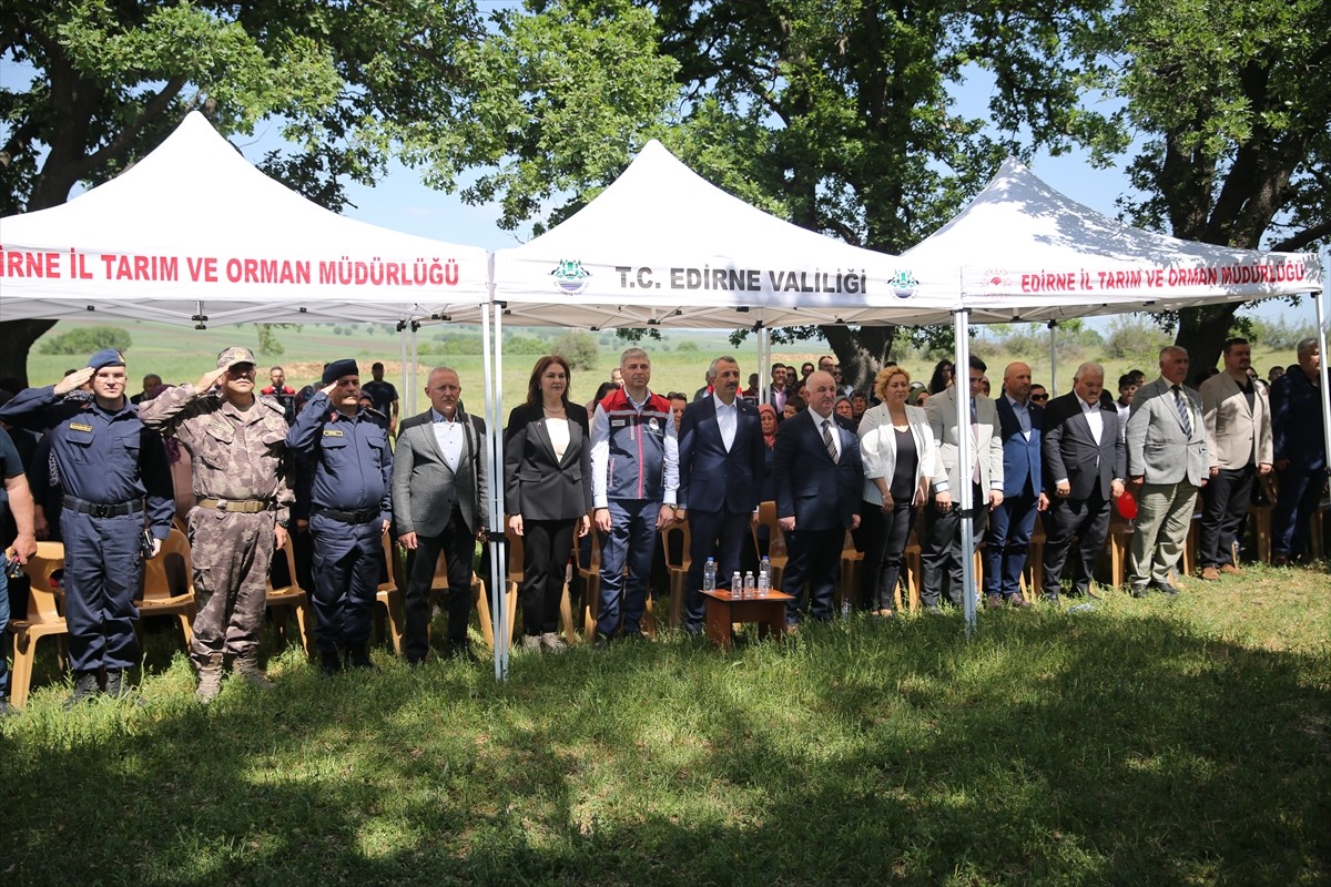 Edirne'de, İl Tarım ve Orman Müdürlüğünce Mera Islah ve Amenajman Projesi ve otlama sezonunun...