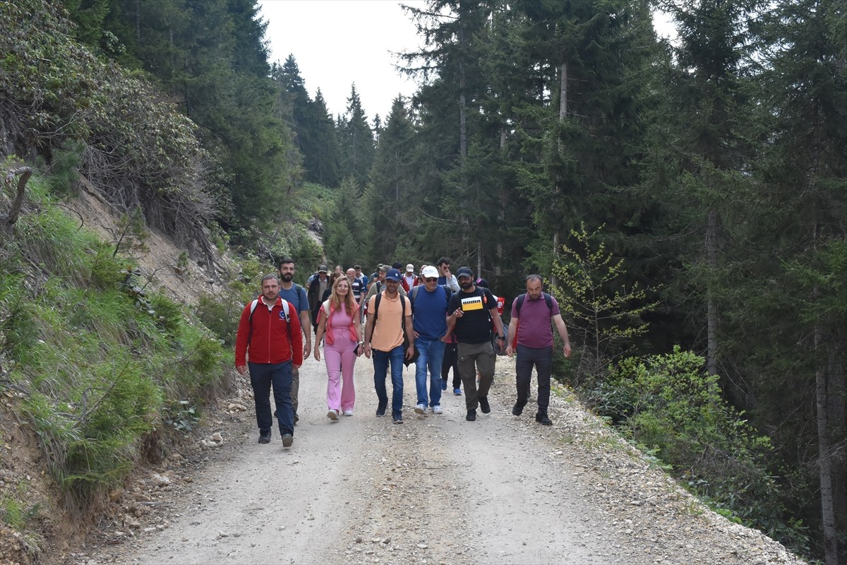 Gümüşhane'de, hava sıcaklığının artmasıyla yaylalarda bir araya gelen doğaseverler keyifli...