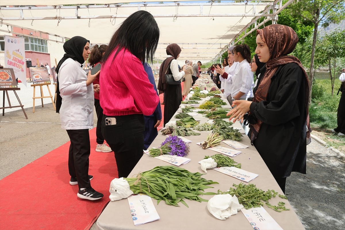Hakkari'de dağlarda yetişen otlarla hazırlanan yemeklerin sergilendiği "Yöresel Ot Festivali"...