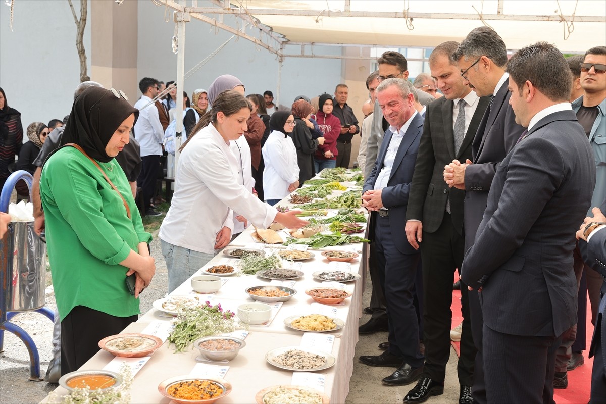Hakkari'de dağlarda yetişen otlarla hazırlanan yemeklerin sergilendiği "Yöresel Ot Festivali"...
