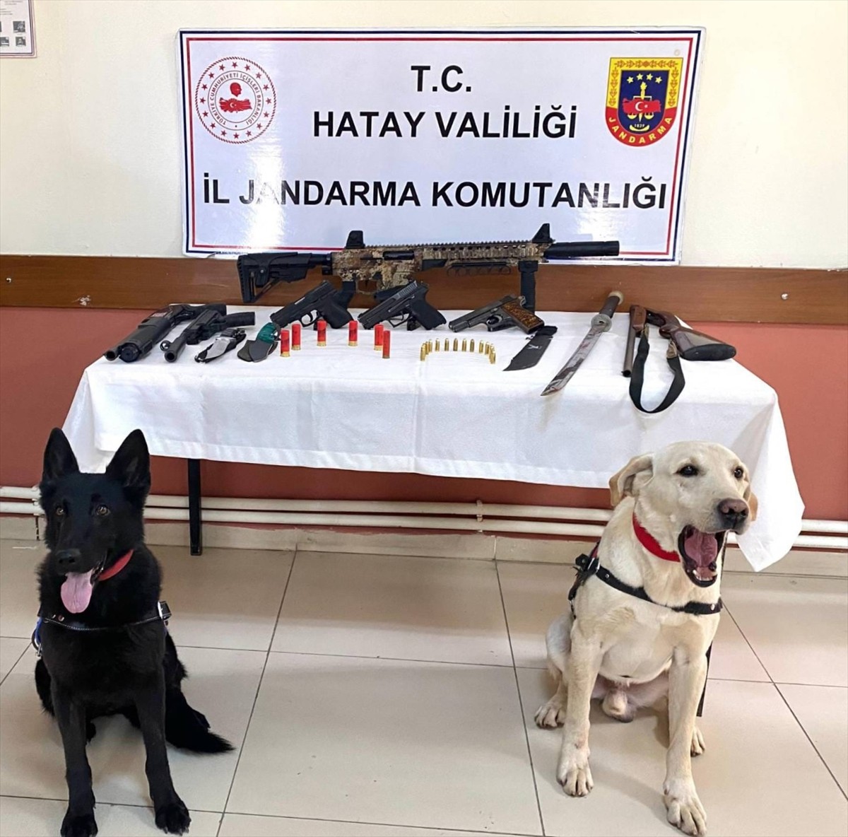 Hatay'ın İskenderun ilçesinde düğünlerde havaya ateş açtıkları belirlenen 6 şüpheli gözaltına...