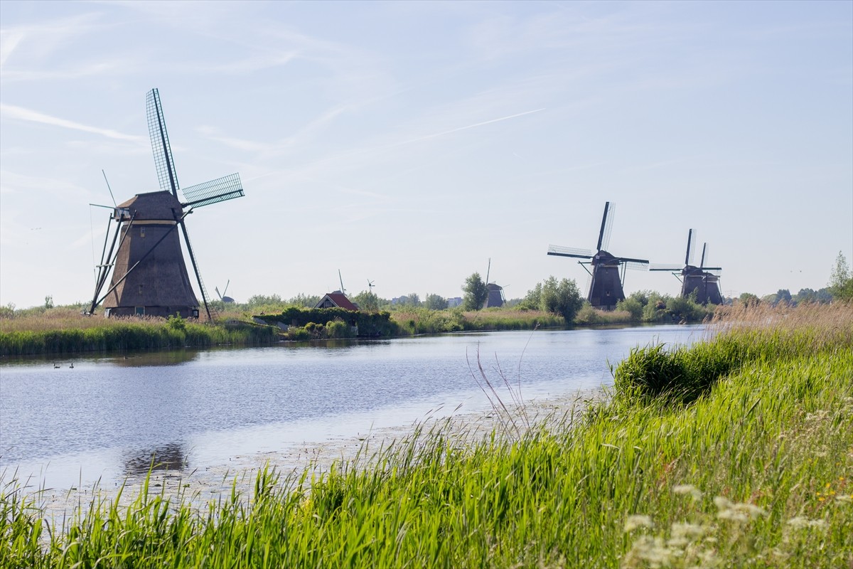 Hollanda'da, bu yıl 52’incisi düzenlenen "Ulusal Değirmen Günü"nde yüzlerce değirmen halka açıldı....