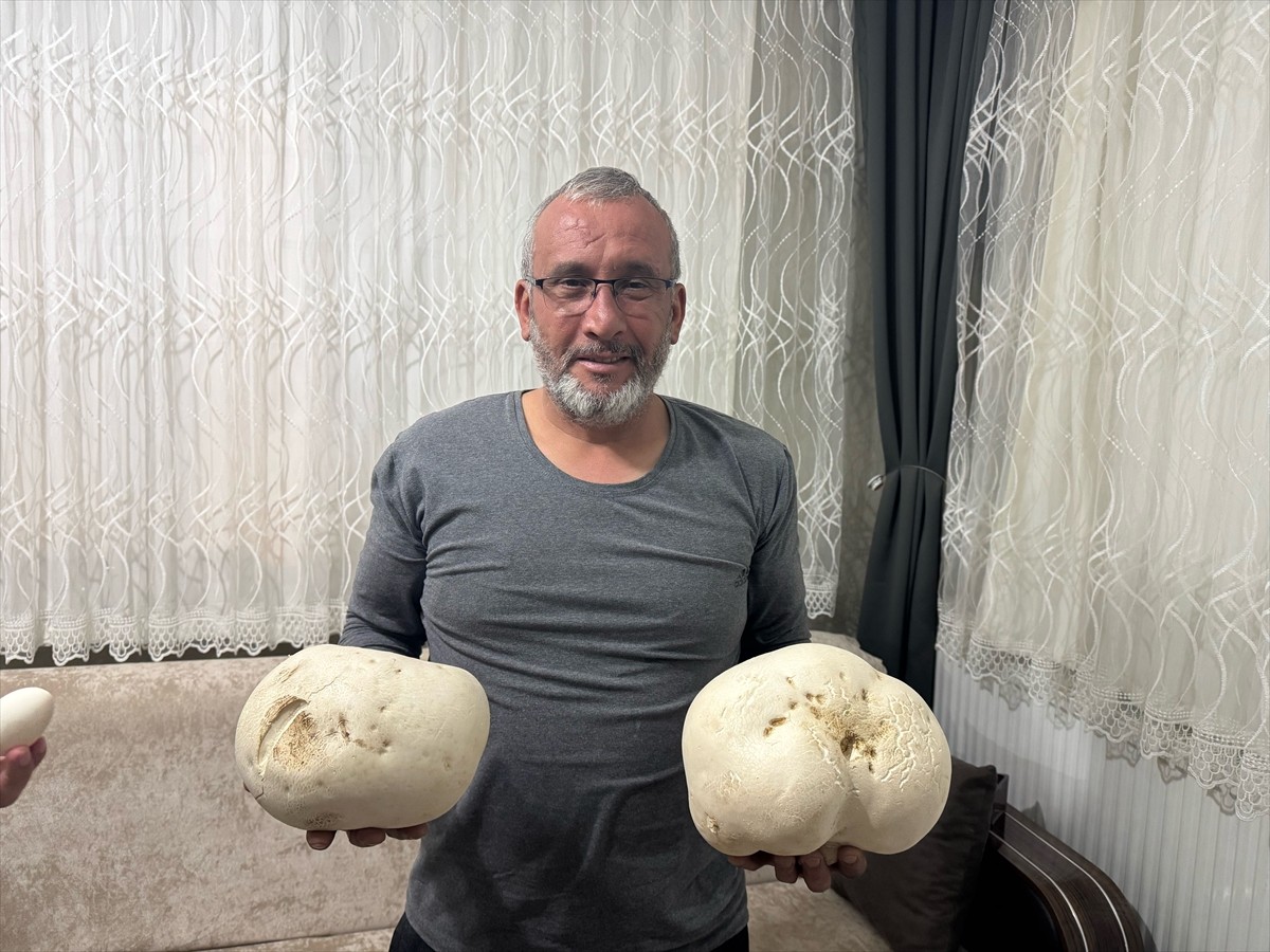 Isparta'da doğa gezisine çıkan Yusuf Yalçın, 2,5 kilogram ve 1,5 kilogramlık iki "dev mantar"...