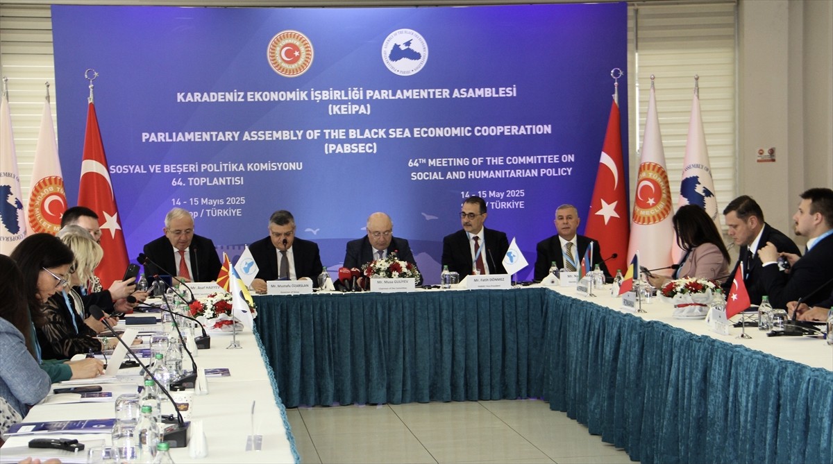 Karadeniz Ekonomik İşbirliği Parlamenter Asamblesi (KEİPA) Sosyal ve Beşeri Politikası...