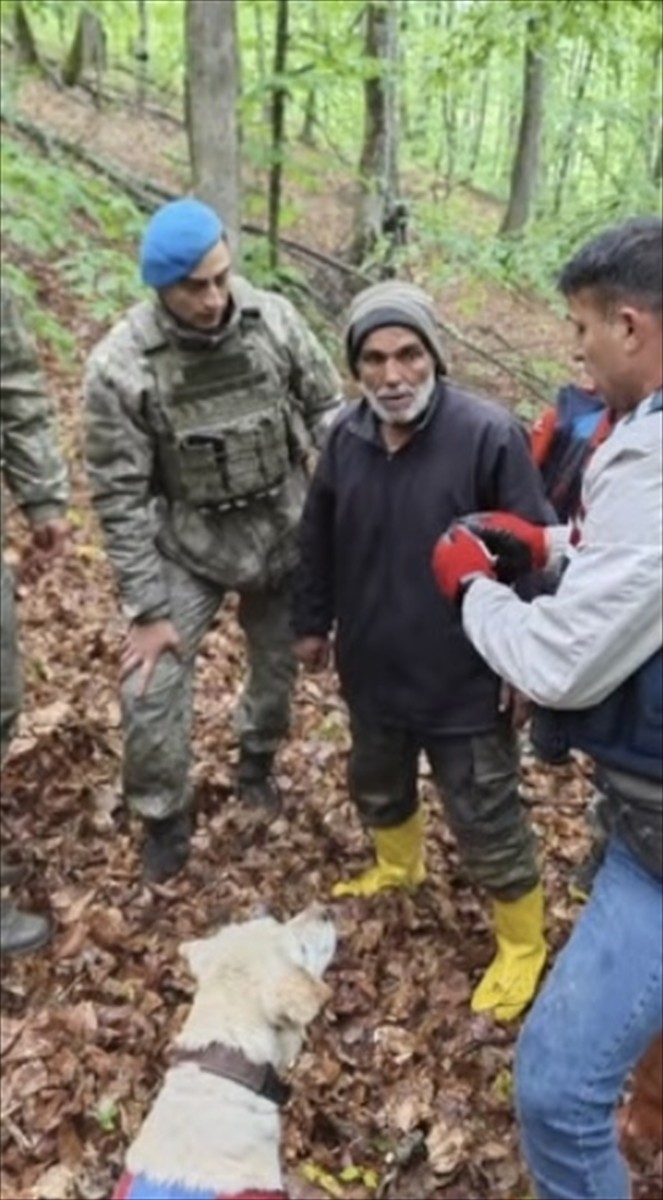 Kırklareli'nde ormanlık alanda kaybolan çoban, jandarma ekiplerinin çalışmasıyla bulundu.