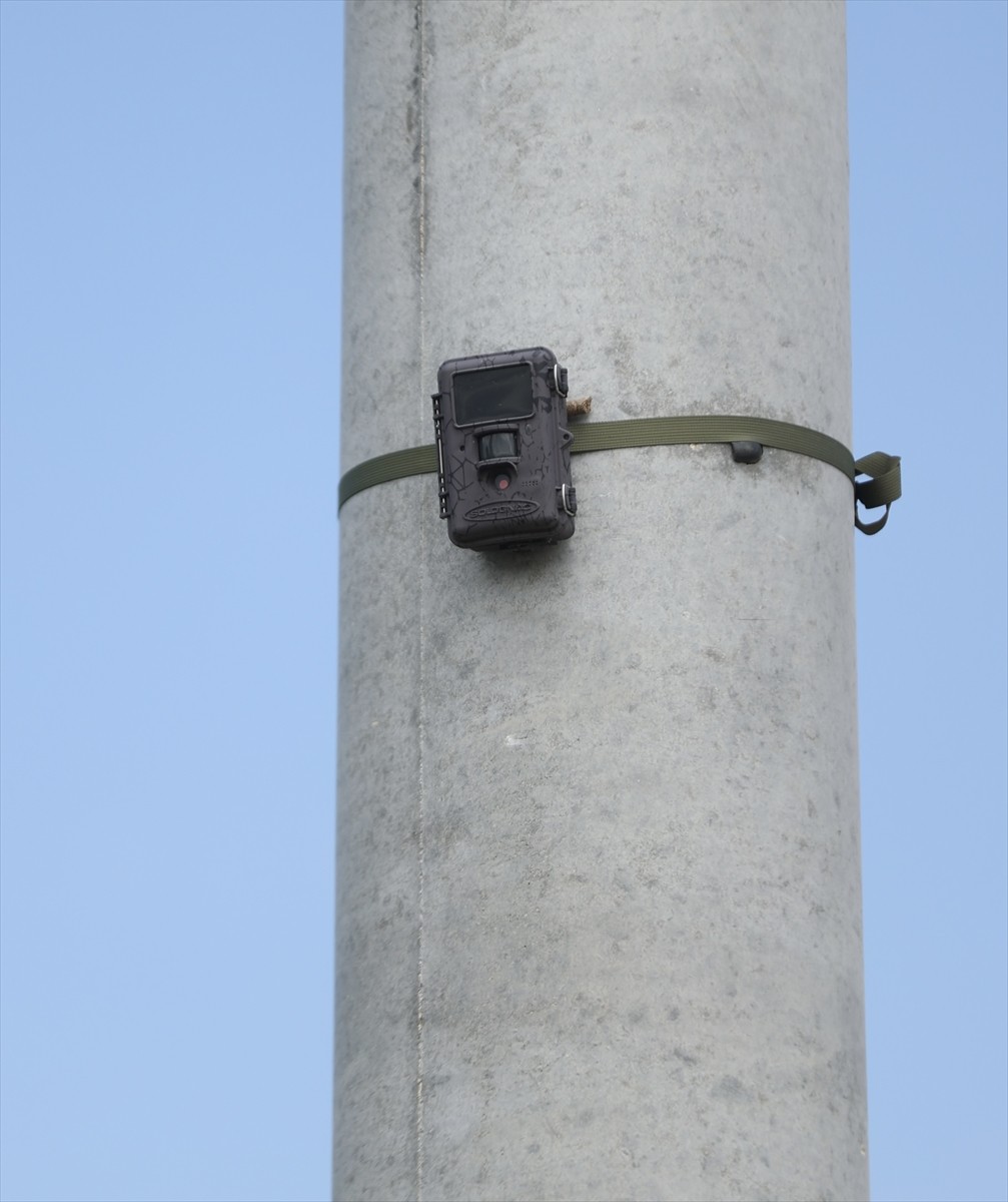 Kocaeli'de izinsiz atık dökümüyle çevre kirliliğine neden olan kişi ve kurumların belirlenmesi...