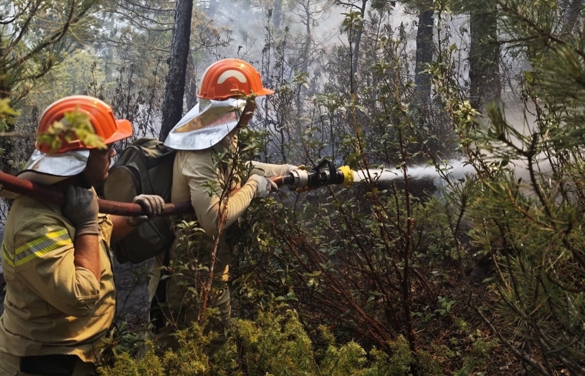 Kütahya'nın Emet ilçesinde çıkan orman yangınına ekipler müdahale ediyor. 
