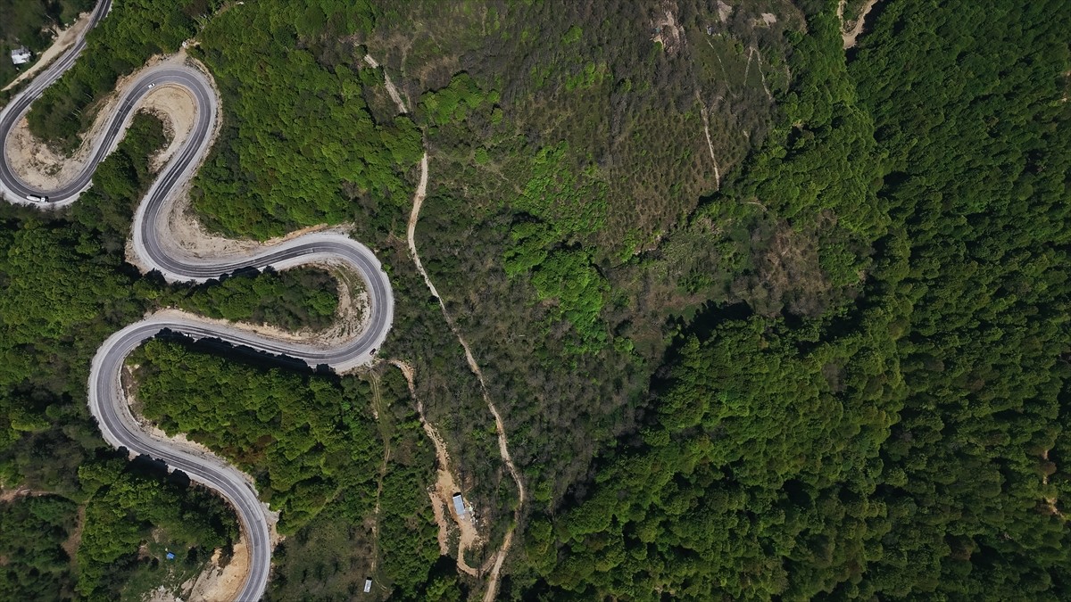 Kütahya ile Bursa'nın doğal sınırını oluşturan Domaniç Dağları'nda ilkbaharla birlikte yeşilin...