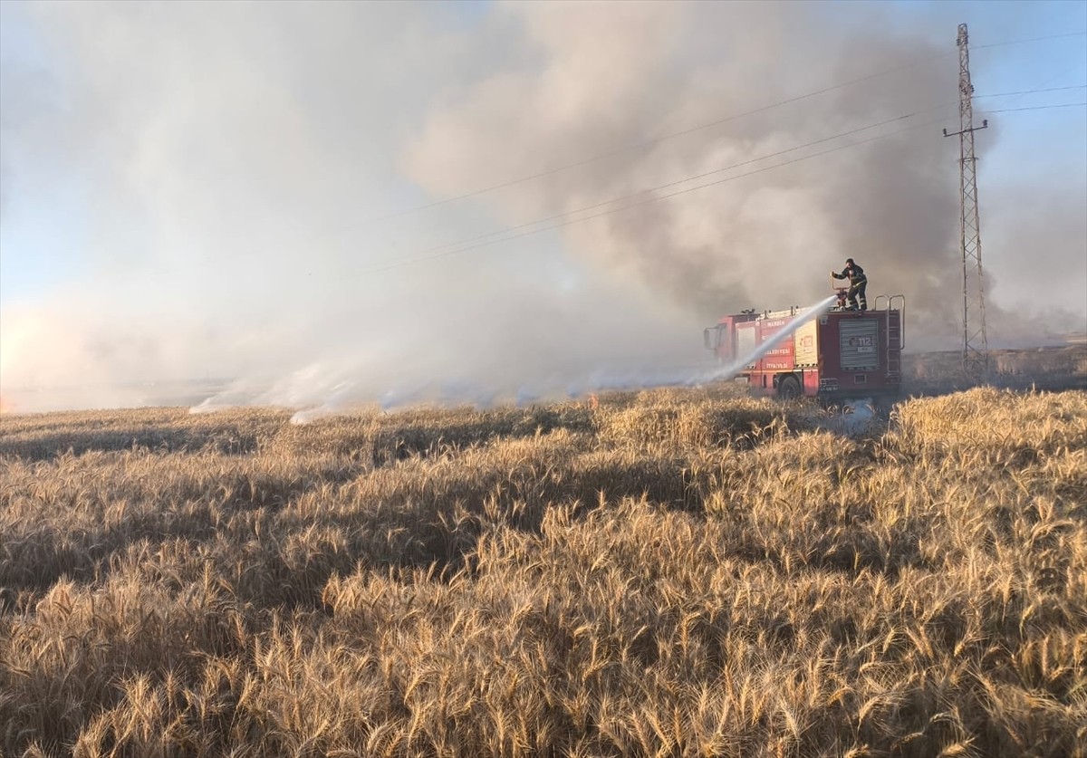 Mardin'in Kızıltepe ve Nusaybin ilçelerinde buğday ekili alanlarda çıkan yangınlar, itfaiye...