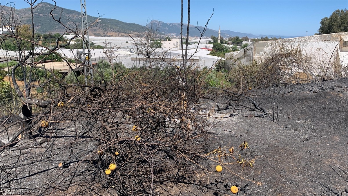 Mersin'in Anamur ilçesinde zirai alanda çıkan yangın ormana yayılmadan söndürüldü.