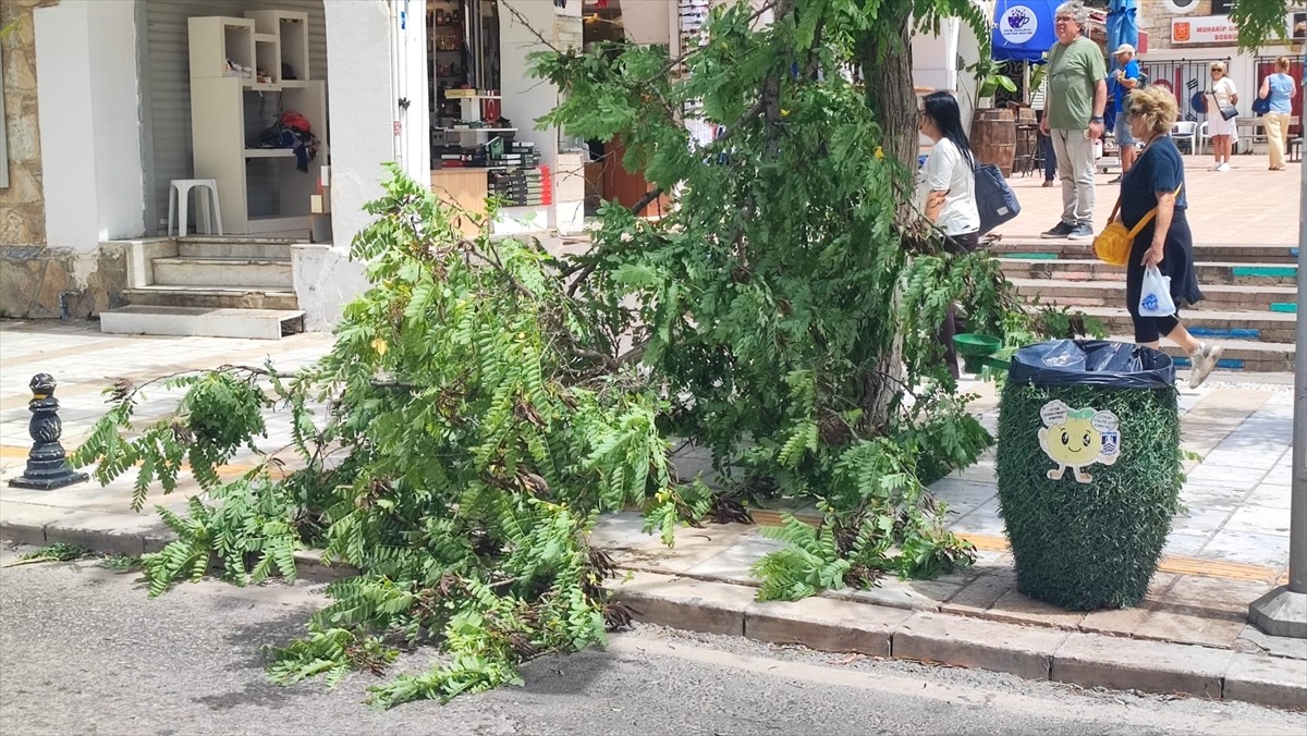 Muğla'nın Bodrum ilçesinde kuvvetli fırtına günlük yaşamı olumsuz etkiledi. İlçede sabah...