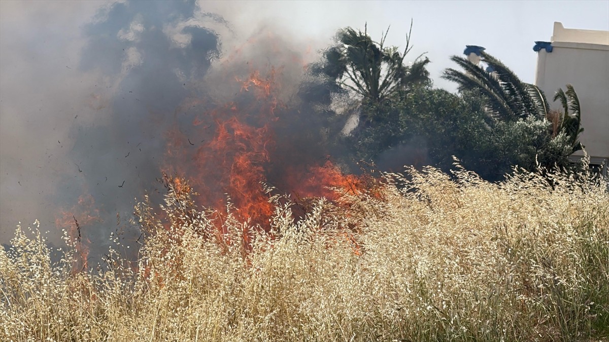 Muğla'nın Bodrum ilçesinde, yerleşim yeri yakınlarında çıkan yangına itfaiye ekipleri müdahale...