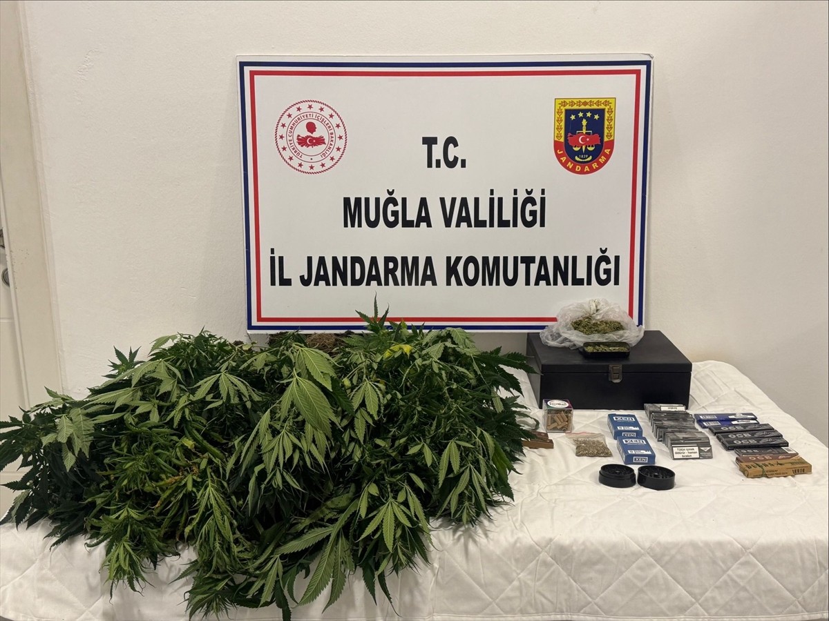Muğla'nın Datça ilçesinde düzenlenen operasyonda, evde uyuşturucu madde yetiştirdiği öne sürülen 2...