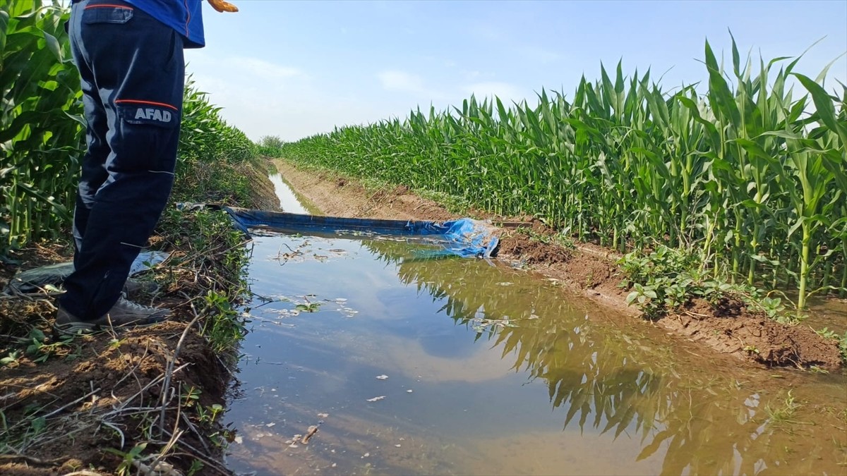 Osmaniye'de tarım işçisi sulama kanalında ölü bulundu.