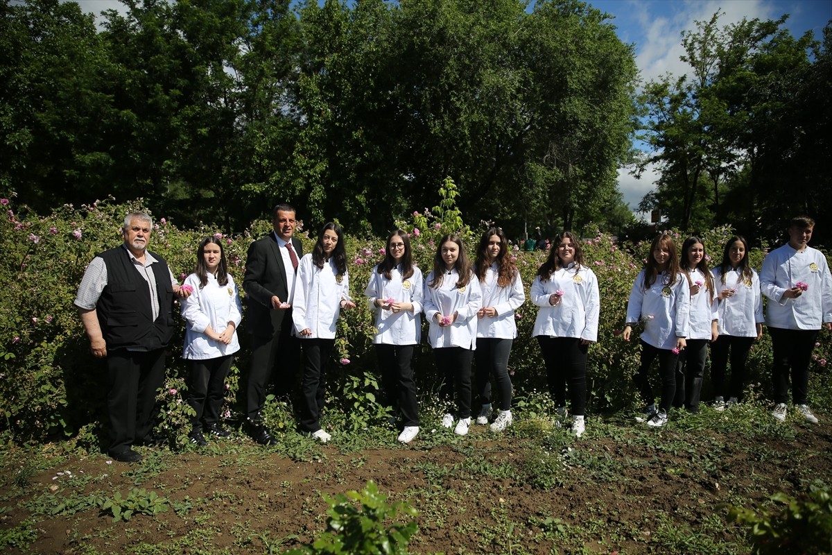 "Türk Mutfağı Haftası" etkinlikleri kapsamında şef adayı öğrenciler, Edirne güllerini hasat etti....