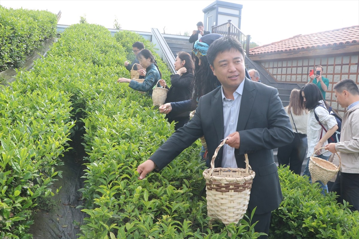 Rize'de Çay Çarşısı, Uluslararası Çay Günü kapsamında düzenlenen etkinliğe ev sahipliği...