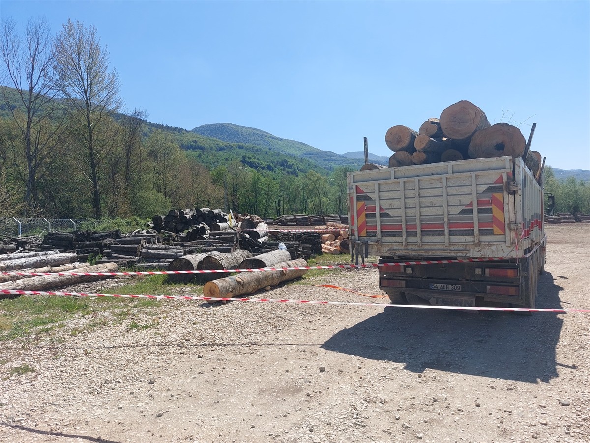 Sakarya'nın Akyazı ilçesinde üzerine tomruk devrilen işçi, hayatını kaybetti.