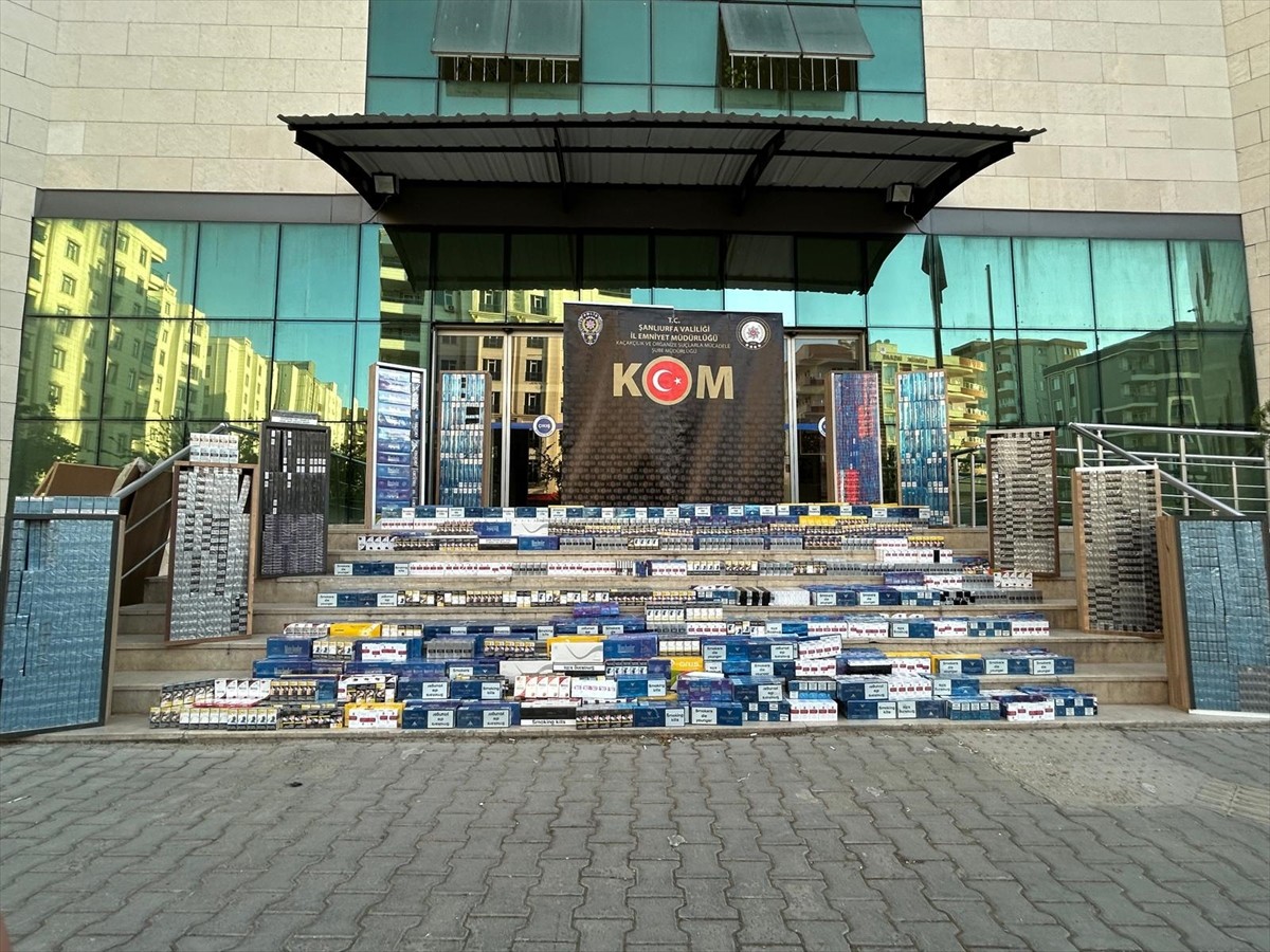Şanlıurfa'da 19 bin 800 paket gümrük kaçağı sigara ele geçirildi, gözaltına alınan 1 zanlı...