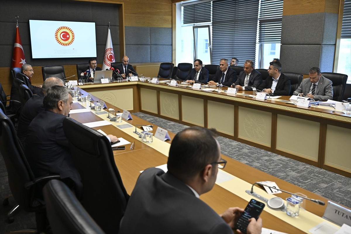 TBMM Kartalkaya Kayak Merkezi'ndeki Otel Yangınını Araştırma Komisyonu, Türkiye Sigorta Birliği...