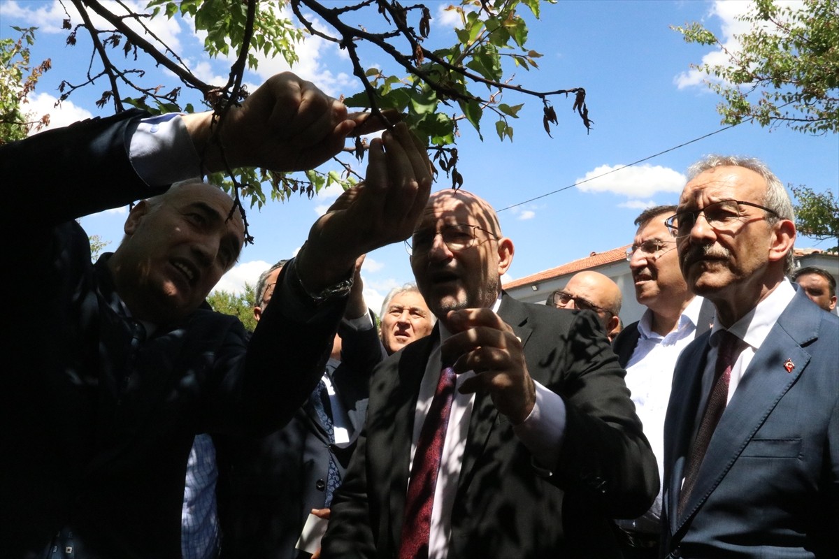 TBMM Zirai Don Olayını Araştırma Komisyonu üyeleri, Malatya'nın merkez Yeşilyurt ilçesinde zirai...