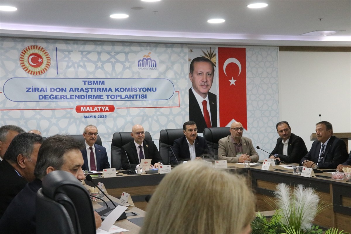 TBMM Zirai Don Olayını Araştırma Komisyonu, zirai donun kayısı başta olmak üzere birçok ürüne...