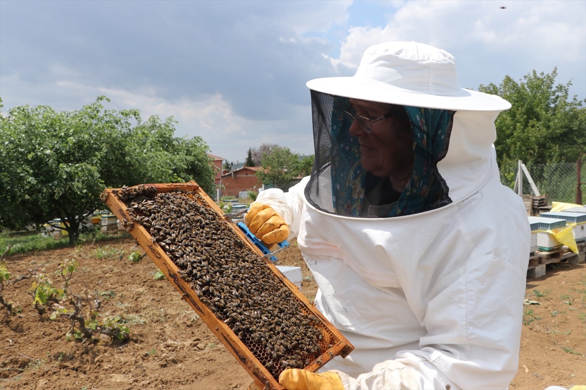 Tekirdağ'ın Ferhadanlı Mahallesi'nde yaşayan 66 yaşındaki Zeynep Günay Tekin, 47 yıldır arıcılık...