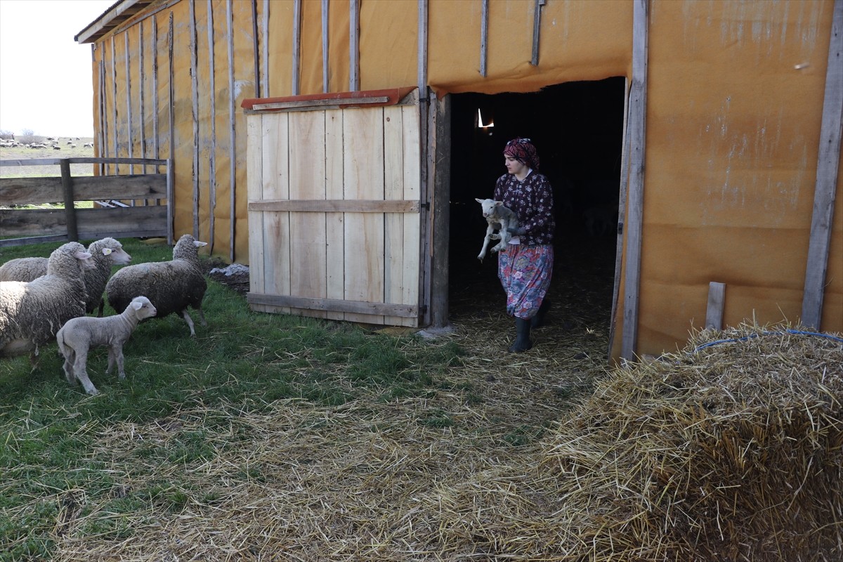 Tekirdağ Namık Kemal Üniversitesi Peyzaj Mimarlığı birinci sınıf öğrencisi 21 yaşındaki Büşra...