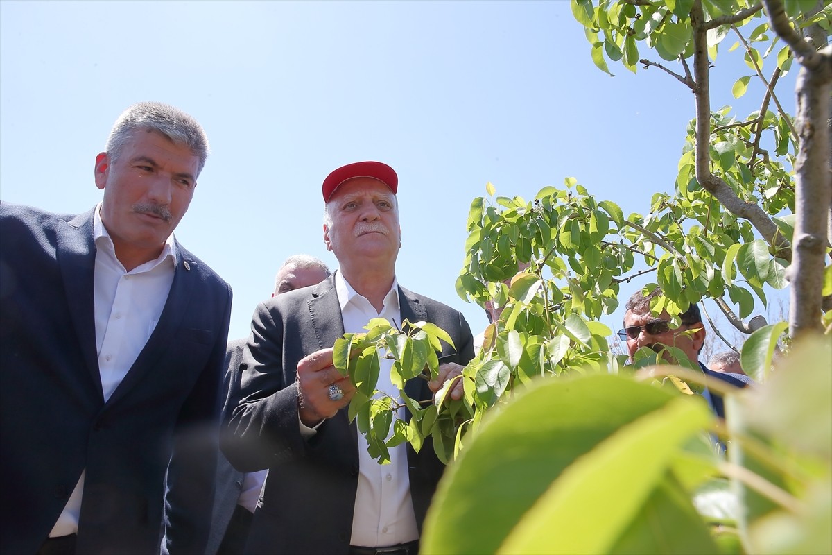 Türkiye Ziraat Odaları Birliği (TZOB) Genel Başkanı Şemsi Bayraktar, Çorum'da dondan etkilenen...