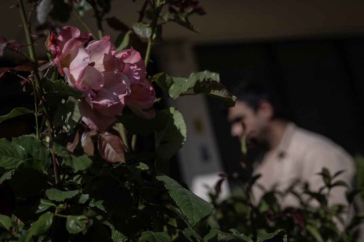 Yeşilay Danışmanlık Merkezinde (YEDAM), aldığı tedaviyle 5 yıl süren madde bağımlılığını geride...